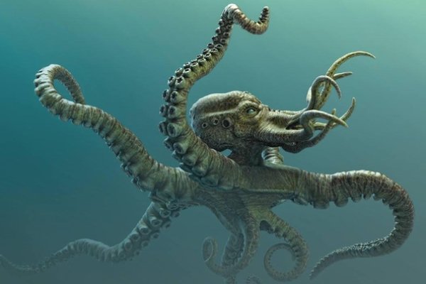 Ссылка на kraken зеркало in.kramp.cc